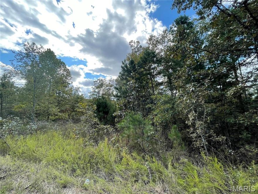 Woodland Heights Subdivision:  Now is your opportunity to build on this beautiful lot just minutes from Poplar Bluff, MO in scenic wooded area.  Lots range from 4.7 - 5 acres m/l.