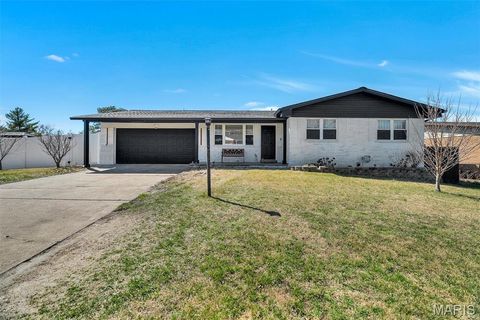 4108 Park Hill Court Mehlville MO 63125