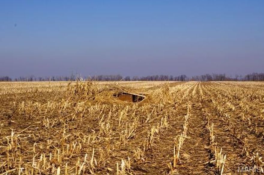 99 acres Mississippi River Bottom Farm, Elsberry Lincoln County, MO.  84 acres tillable, 15 acres wooded, two duck blinds, adjacent to Kings Lake Slough, 1/2 mile west of BK Leach Memorial Conservation Area.  Great Duck Hunting Potential.