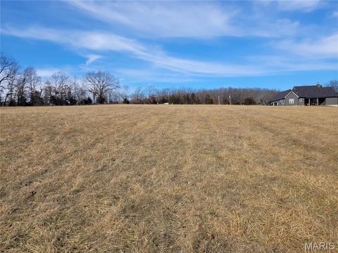 Tiny photo for 200 Big Creek Valley Drive, Troy, MO 63379 (MLS # 25005568)
