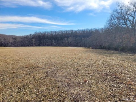 Tiny photo for 200 Big Creek Valley Drive, Troy, MO 63379 (MLS # 25005568)