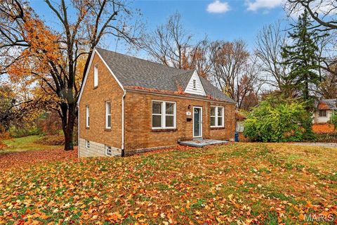 Tiny photo for 33 S Schlueter Avenue, St Louis, MO 63135 (MLS # 25077645)