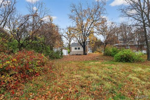 Tiny photo for 33 S Schlueter Avenue, St Louis, MO 63135 (MLS # 25077645)