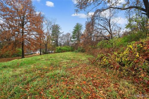 Tiny photo for 33 S Schlueter Avenue, St Louis, MO 63135 (MLS # 25077645)