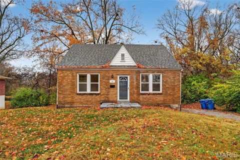 Photo of 33 S Schlueter Avenue, St Louis, MO 63135 (MLS # 25077645)