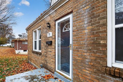 Tiny photo for 33 S Schlueter Avenue, St Louis, MO 63135 (MLS # 25077645)