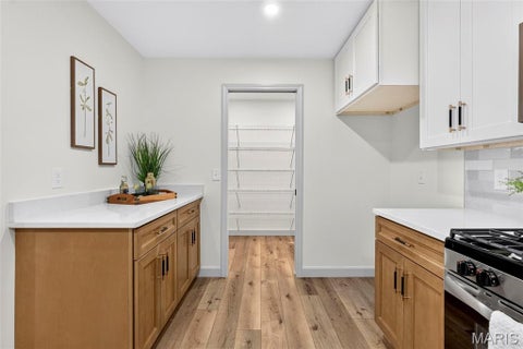 Tiny photo for 1524 Tryon Drive, St Louis, MO 63146 (MLS # 26055361)