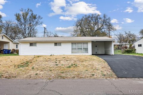 Photo of 9205 Harold Drive, Woodson Terrace, MO 63134 (MLS # 26023648)