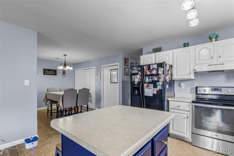 Tiny photo for 127 N 8th Street, Festus, MO 63028 (MLS # 26058271)