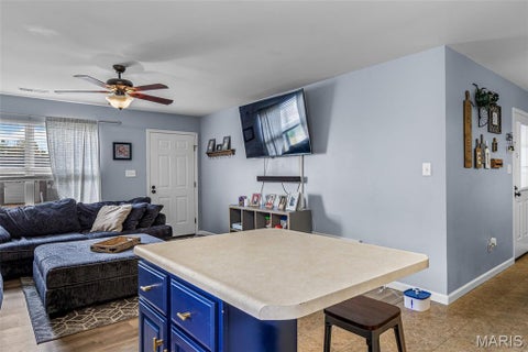 Tiny photo for 127 N 8th Street, Festus, MO 63028 (MLS # 26058271)