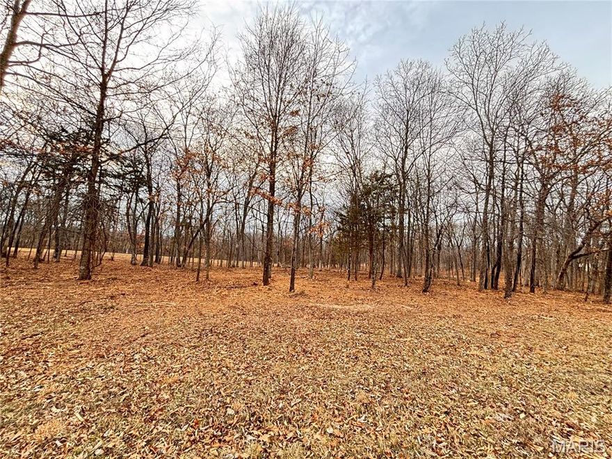 FORISTELL EXIT....BLACKTOP FRONTAGE, NO HOA'S, FEW RESTRICTIONS!!!!  3 acres fronting on Hwy O!  Shouses and Barndominiums allowed!  Level to gently rolling acreage with some clearing and some woods perfect for your new home. There are two 3+/- acre potential parcels or 6 acres in total that can be purchased. See MLS #26009013 for the 6 acres.