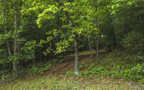 Tiny photo for 21575 State Highway B, Marble Hill, MO 63764 (MLS # 26058602)