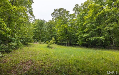 Tiny photo for 21575 State Highway B, Marble Hill, MO 63764 (MLS # 26058602)