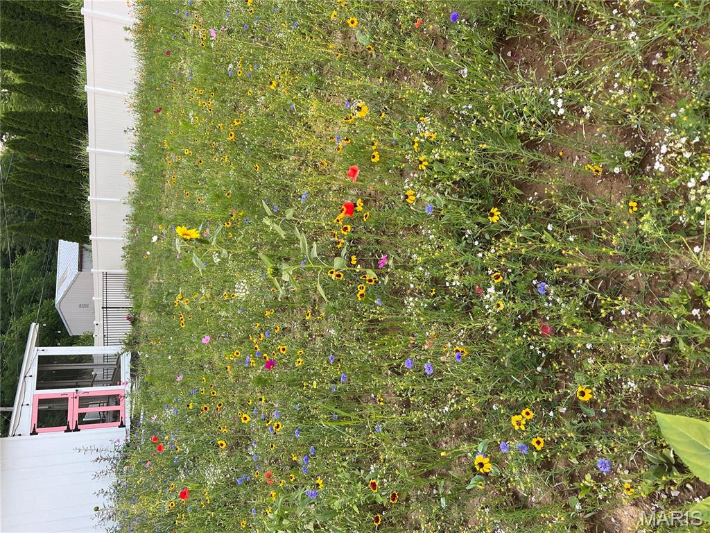 Powell Park Forest Gardens & Howell S - Residential