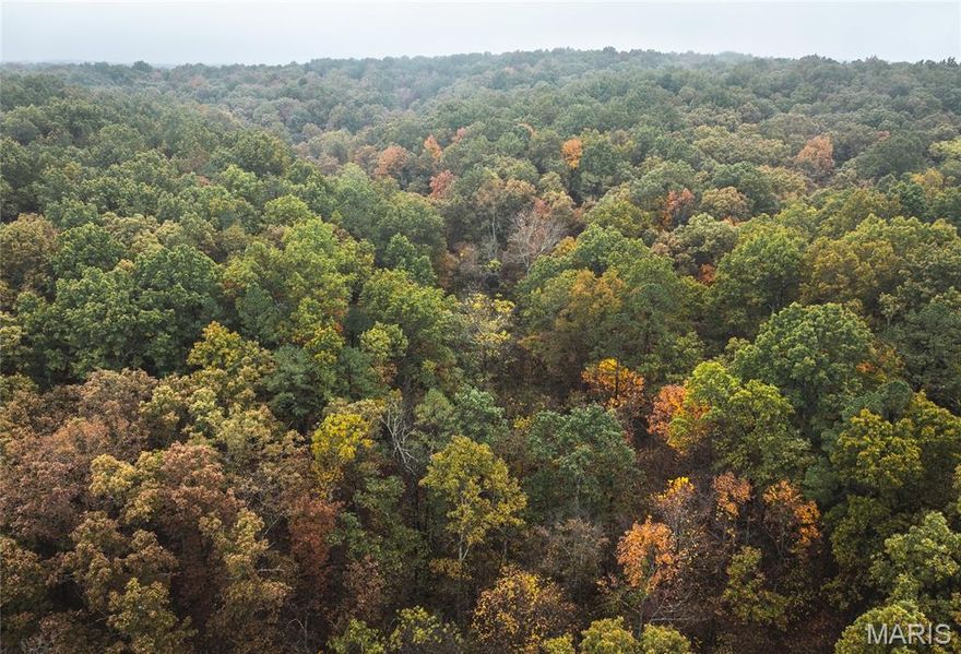 45.75 acres in the rolling hills of Washington County, Missouri, this property—formerly known as Marquart Cabin & Hunting Retreat—offers a rare opportunity to own your own private and secluded outdoor haven. Wide-open spaces and diverse habitat support an impressive amount of wildlife, including mature whitetail deer, turkey, and even the occasional black bear. The land features an extensive trail system that winds throughout the property, showcasing deer rubs, scrapes, and excellent natural travel corridors. Multiple ponds serve as wildlife watering holes, and Northcutt Branch, a wet-weather creek, adds to the property’s natural character. There are established food plots, providing ideal setups for both seasoned hunters and beginners alike, along with a quality shooting house overlooking one of the plots for those cold or rainy days. The property adjoins Pea Ridge Conservation Area on two sides, enhancing privacy and ensuring access to even more huntable ground. A beautiful stand of black oak, white oak, red oak, and scattered pines completes the landscape. If you’re searching for a recreational, wildlife-rich, and highly secluded 45.75-acre tract, this one checks every box.