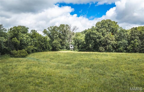 Tiny photo for 1200 N Park Avenue, Salem, MO 65560 (MLS # 26045272)