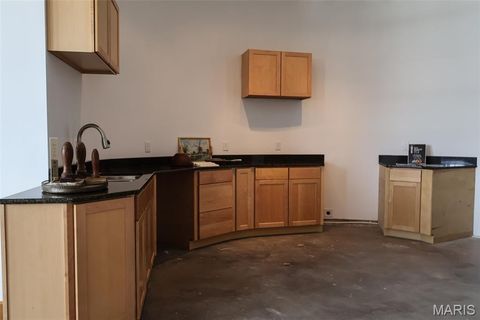 Tiny photo for 701 N 15th Street #515W, St Louis, MO 63103 (MLS # 26014381)