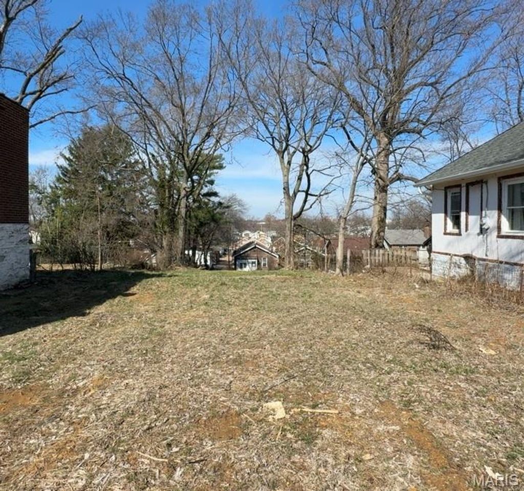 Photo of 4459 Grace Avenue, St Louis, MO 63116 (MLS # 26013442)