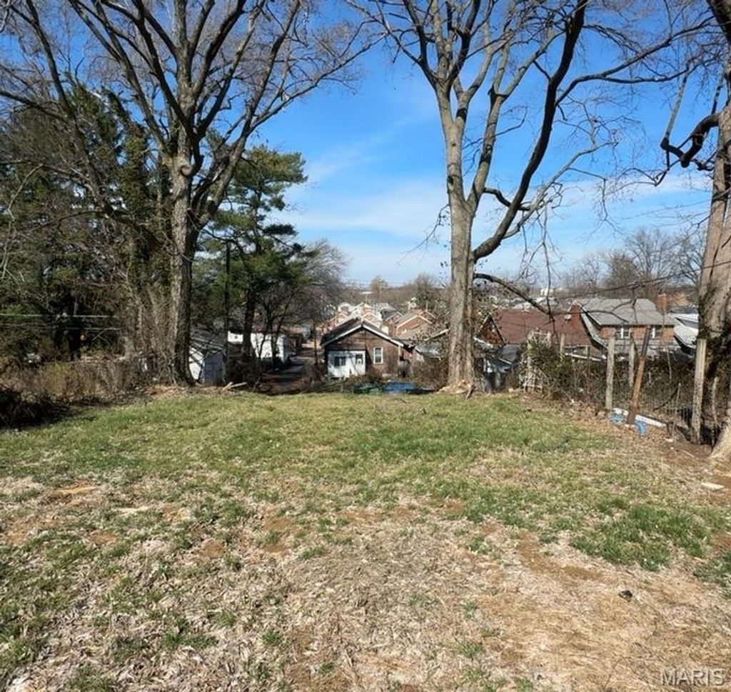 Photo of 4459 Grace Avenue, St Louis, MO 63116 (MLS # 26013442)