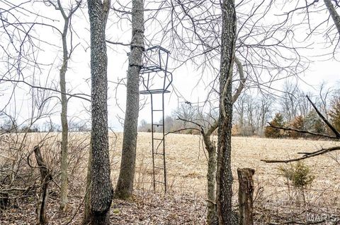Tiny photo for 00 County Road 277, Kahoka, MO 63445 (MLS # 26019187)