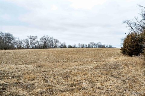 Tiny photo for 00 County Road 277, Kahoka, MO 63445 (MLS # 26019187)