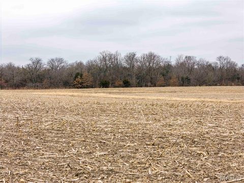 Tiny photo for 00 County Road 277, Kahoka, MO 63445 (MLS # 26019187)