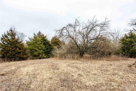 Tiny photo for 00 County Road 277, Kahoka, MO 63445 (MLS # 26019187)