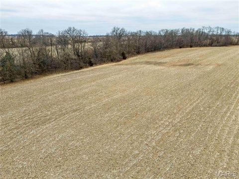Tiny photo for 00 County Road 277, Kahoka, MO 63445 (MLS # 26019187)