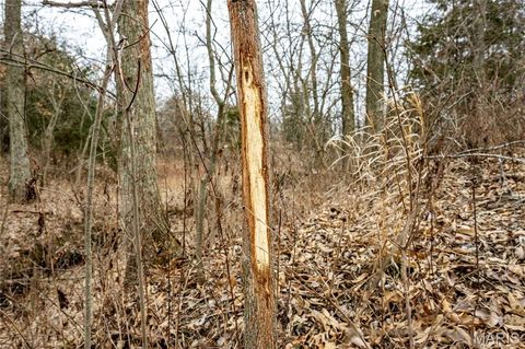 Tiny photo for 00 County Road 277, Kahoka, MO 63445 (MLS # 26019187)