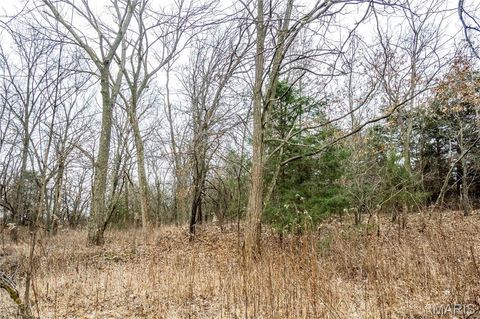 Tiny photo for 00 County Road 277, Kahoka, MO 63445 (MLS # 26019187)