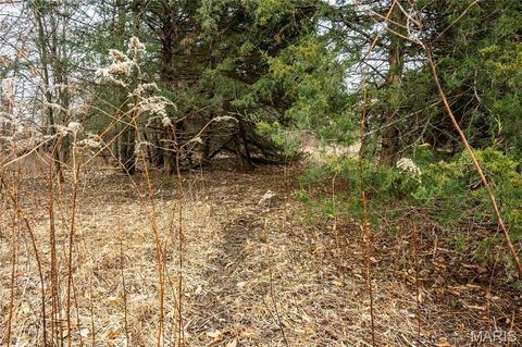 Tiny photo for 00 County Road 277, Kahoka, MO 63445 (MLS # 26019187)