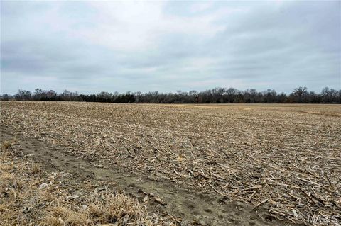 Tiny photo for 00 County Road 277, Kahoka, MO 63445 (MLS # 26019187)