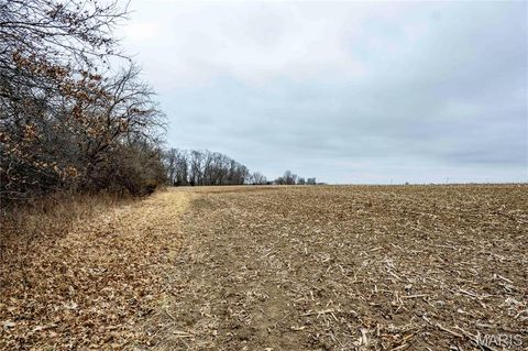 Tiny photo for 00 County Road 277, Kahoka, MO 63445 (MLS # 26019187)