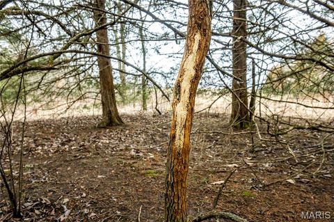 Tiny photo for 00 County Road 277, Kahoka, MO 63445 (MLS # 26019187)