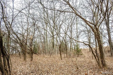 Tiny photo for 00 County Road 277, Kahoka, MO 63445 (MLS # 26019187)