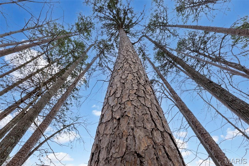 non-subdivision - Farm