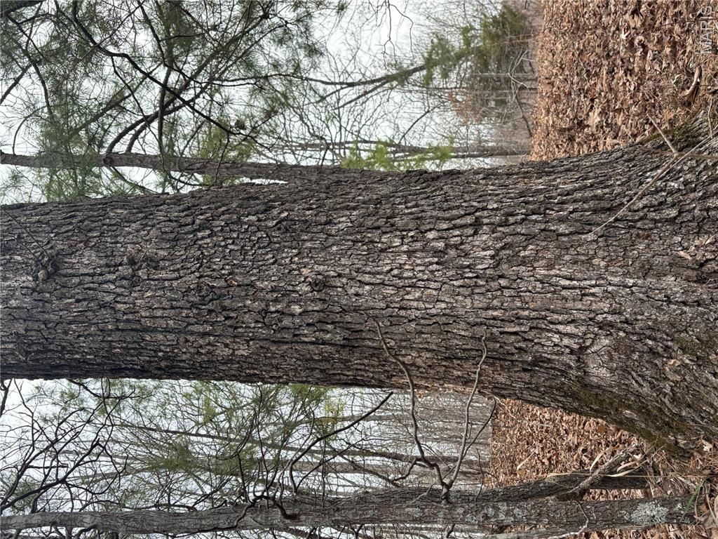 non-subdivision - Farm