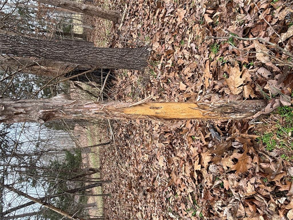 non-subdivision - Farm