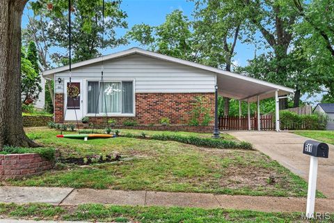 Photo of 511 Joshua Drive, Crestwood, MO 63126 (MLS # 26045365)