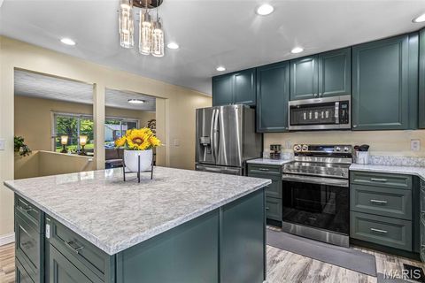 Tiny photo for 11771 Kingston Drive, Festus, MO 63028 (MLS # 26029295)
