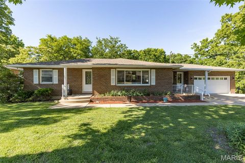 Photo of 11771 Kingston Drive, Festus, MO 63028 (MLS # 26029295)
