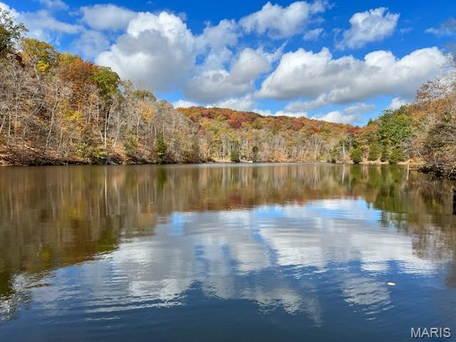 Lake Sherwood Estates - Land