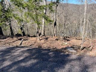 Lake Sherwood Estates - Land