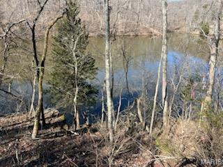 Lake Sherwood Estates - Land