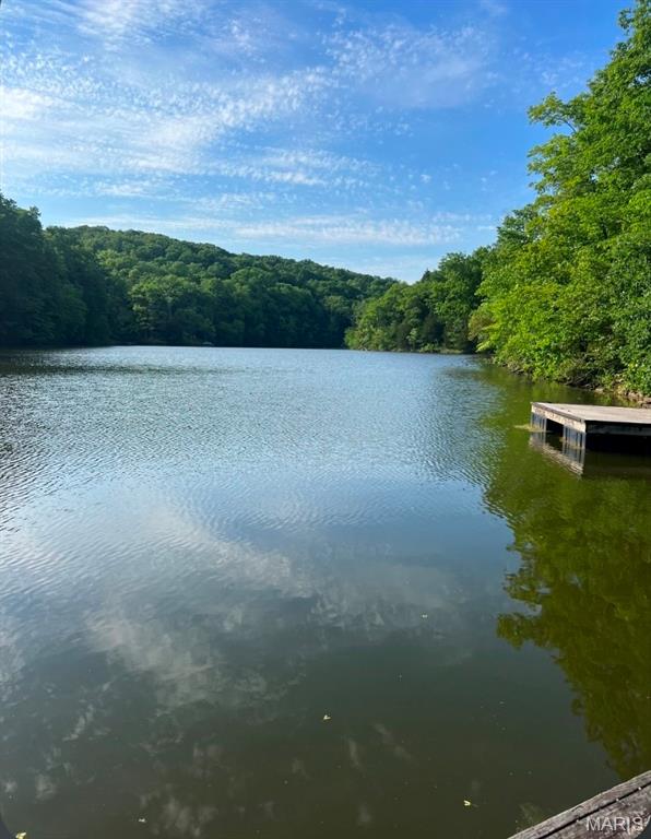 Lake Sherwood Estates - Land