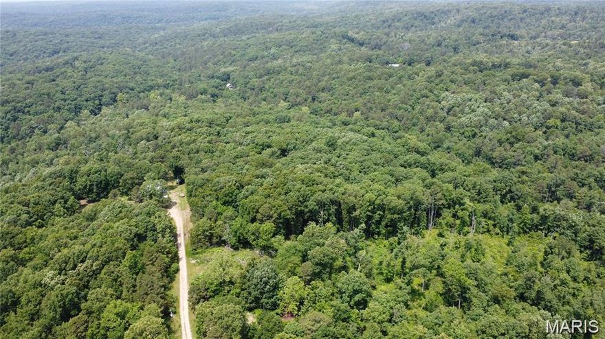 Welcome to this prime hunting land with a spring-fed wet creek.  Current survey available.  Electric is already on the property for an RV or mobile home!  Gravel road to the property!