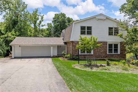 12182 Royal Valley Drive St Louis MO 63141