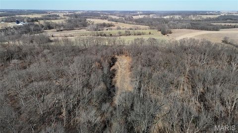 Tiny photo for 53 Louisville Road, Bowling Green, MO 63334 (MLS # 26002785)