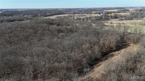 Tiny photo for 53 Louisville Road, Bowling Green, MO 63334 (MLS # 26002785)