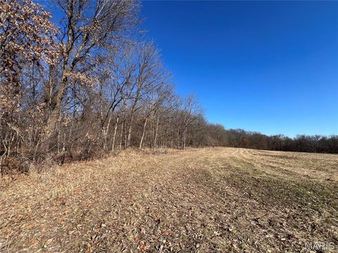 Tiny photo for 53 Louisville Road, Bowling Green, MO 63334 (MLS # 26002785)